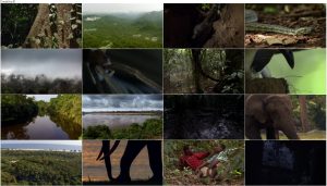 دانلود مستند آفریقا BBC Earth: Africa 2013 BBC Africa 2013 E03 Congo