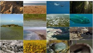 دانلود مستند آفریقا BBC Earth: Africa 2013 BBC Africa 2013 E04 Cape