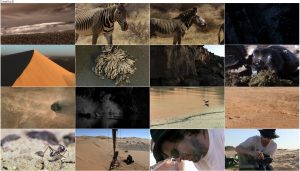 دانلود مستند آفریقا BBC Earth: Africa 2013 BBC Africa 2013 E05 Sahara