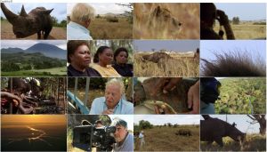 دانلود مستند آفریقا BBC Earth: Africa 2013 BBC Africa 2013 E06 The Future