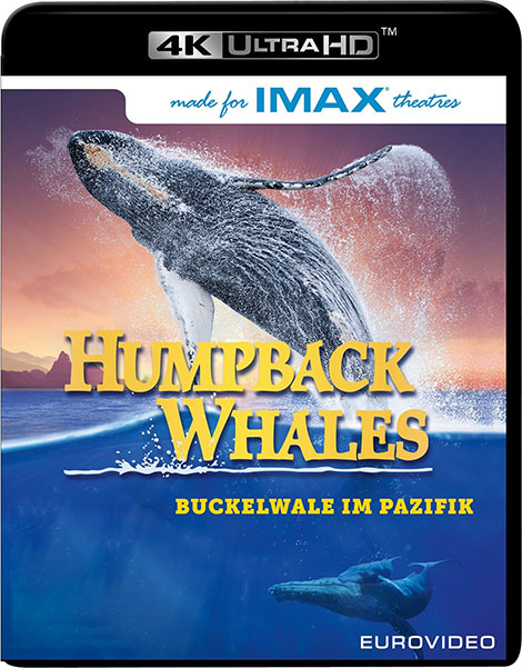 دانلود مستند نهنگ&zwnj;های کوهان&zwnj;دار Humpback Whales 2015