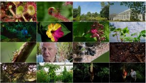 دانلود دوبله فارسی مستند سریالی Kingdom of Plants 2012 دانلود قسمت دوم مستند Kingdom of Plants 2012 3D