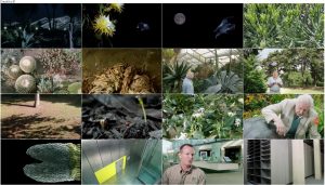 دانلود دوبله فارسی مستند سریالی Kingdom of Plants 2012 دانلود قسمت سوم مستند Kingdom of Plants 2012 3D
