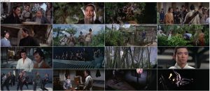 دانلود دوبله فیلم Return of the One-Armed Swordsman 1969 دانلود فیلم بازگشت شمشیرزن یک دست با دوبله فارسی