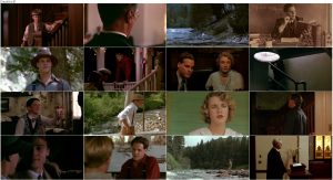 دانلود دوبله فارسی فیلم A River Runs Through It 1992 دانلود دوبله فارسی فیلم A River Runs Through It 1992