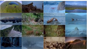 دانلود مستند روح وحشی آلاسکا Alaska: Spirit of the Wild 1997 دانلود مستند روح وحشی آلاسکا Alaska: Spirit of the Wild 1997