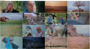 دانلود فیلم سینمایی گبه با کیفیت عالی دانلود فیلم محسن مخملباف بنام گله