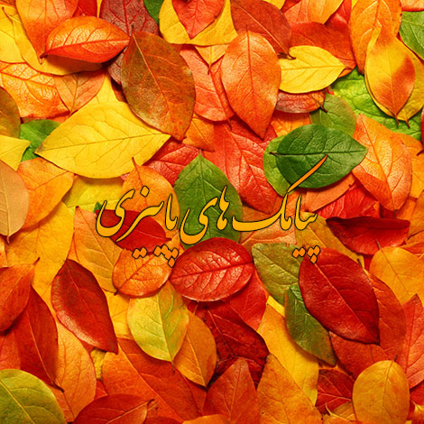 اس ام اس های زیبا و احساسی مخصوص فصل پاییز 1395 اس ام اس و پیامک احساسی فصل پاییز 1395, جملات زیبای پاییز, متن ادبی درباره پاییز, شعر ویژه پاییز, پیام عاشقانه در مورد پاییز, فصل پاییز, زیباترین پیامک جدید پاییزی