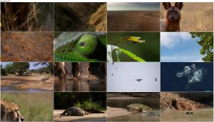 دانلود دوبله فارسی مستند شکار BBC Earth: The Hunt 2015 دانلود مستند شکار قسمت اول The Hardest Challenge