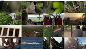 دانلود دوبله فارسی مستند شکار BBC Earth: The Hunt 2015 دانلود مستند شکار قسمت هفتم Living with Predators