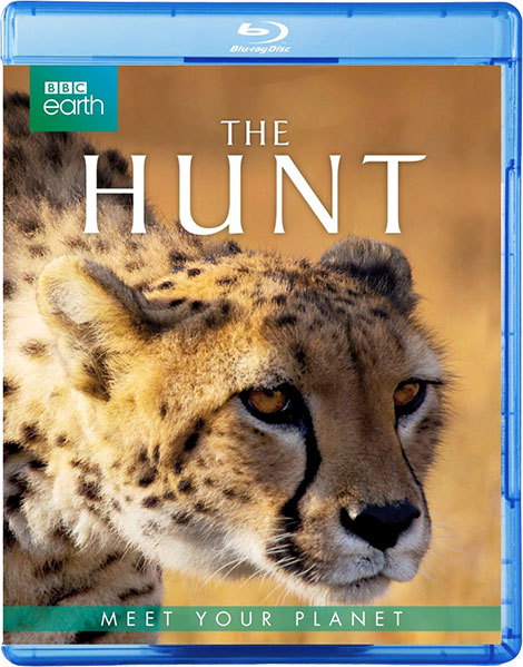 دانلود دوبله فارسی مستند شکار BBC Earth: The Hunt 2015 دانلود دوبله فارسی مستند شکار The Hunt 2015
