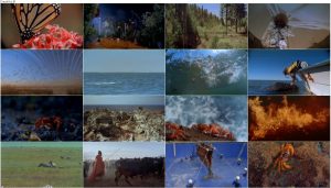 دانلود مستند سفرهای شگفت انگیز Amazing Journeys 1999 دانلود مستند سفرهای شگفت انگیز Amazing Journeys 1999