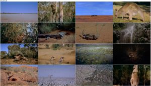 دانلود مستند IMAX - Australia: Land Beyond Time 2002 دانلود مستند IMAX - Australia: Land Beyond Time 2002