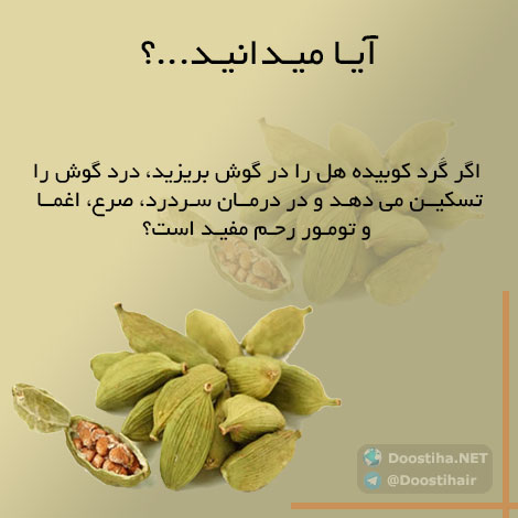 دانستنی های آموزنده از گیاهان دارویی و درمانی (سری 1) دانستنی های گیاهان دارویی, خواص داروهای گیاهی, آیا میدانید, طب سنتی, درمان گیاهی, فواید میوه ها, خواص درمانی حبوبات, گیاه درمانی, میوه درمانی, درمان های طبیعی