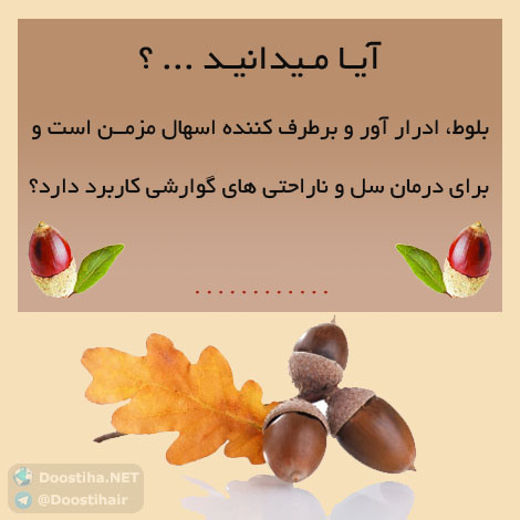 دانستنی های آموزنده از گیاهان دارویی و درمانی (سری 1) دانستنی های گیاهان دارویی, خواص داروهای گیاهی, آیا میدانید, طب سنتی, درمان گیاهی, فواید میوه ها, خواص درمانی حبوبات, گیاه درمانی, میوه درمانی, درمان های طبیعی