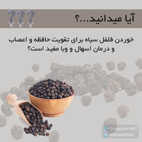 دانستنی های آموزنده از گیاهان دارویی و درمانی (سری 1) دانستنی های گیاهان دارویی, خواص داروهای گیاهی, آیا میدانید, طب سنتی, درمان گیاهی, فواید میوه ها, خواص درمانی حبوبات, گیاه درمانی, میوه درمانی, درمان های طبیعی