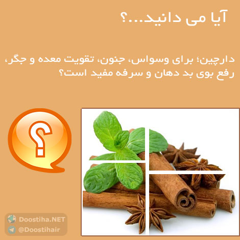 دانستنی های آموزنده از گیاهان دارویی و درمانی (سری 1) دانستنی های گیاهان دارویی, خواص داروهای گیاهی, آیا میدانید, طب سنتی, درمان گیاهی, فواید میوه ها, خواص درمانی حبوبات, گیاه درمانی, میوه درمانی, درمان های طبیعی