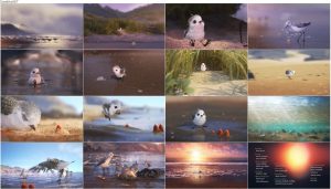 دانلود انیمیشن جوجه کبوتر Disney Pixar - Piper 2016 دانلود انیمیشن Piper 2016