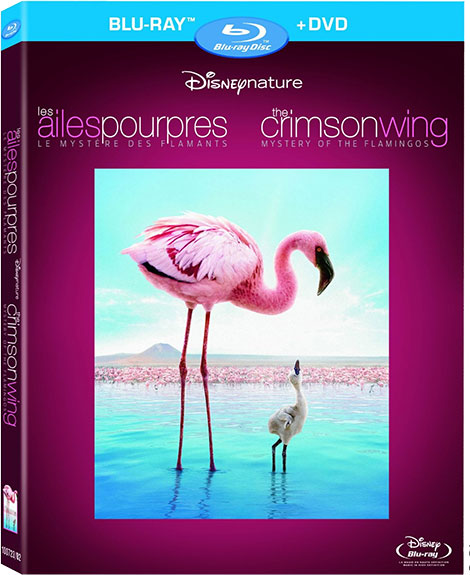 دانلود مستند اسرار فلامینگوها Mystery of the Flamingos 2008 دانلود مستند اسرار فلامینگوها Mystery of the Flamingos 2008