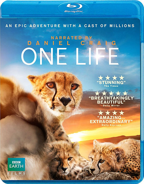 دانلود مستند یک زندگی BBC: One Life 2011 دانلود مستند یک زندگی BBC: One Life 2011