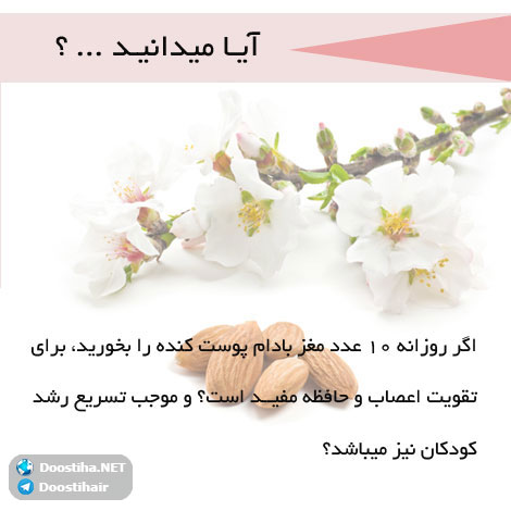 دانستنی های گیاهان دارویی, خواص داروهای گیاهی, آیا میدانید, طب سنتی, درمان گیاهی, فواید میوه ها, خواص درمانی حبوبات, گیاه درمانی, میوه درمانی, درمان های طبیعی