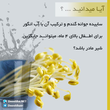 دانستنی های آموزنده از گیاهان دارویی و درمانی (سری 3) دانستنی های گیاهان دارویی, خواص داروهای گیاهی, آیا میدانید, طب سنتی, درمان گیاهی, فواید میوه ها, خواص درمانی حبوبات, گیاه درمانی, میوه درمانی, درمان های طبیعی