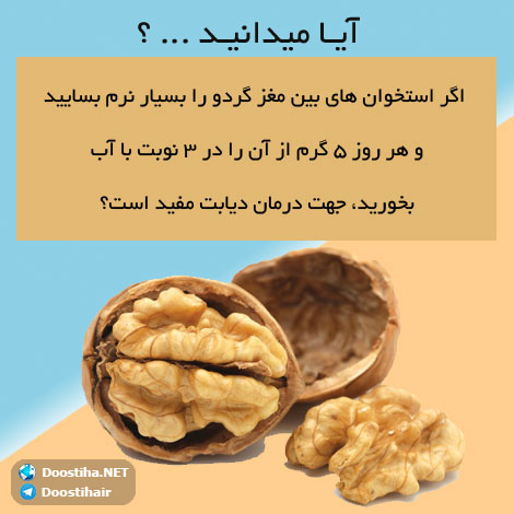 دانستنی های آموزنده از گیاهان دارویی و درمانی (سری 3) دانستنی های گیاهان دارویی, خواص داروهای گیاهی, آیا میدانید, طب سنتی, درمان گیاهی, فواید میوه ها, خواص درمانی حبوبات, گیاه درمانی, میوه درمانی, درمان های طبیعی
