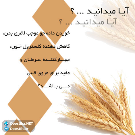 دانستنی های آموزنده از گیاهان دارویی و درمانی (سری 3) دانستنی های گیاهان دارویی, خواص داروهای گیاهی, آیا میدانید, طب سنتی, درمان گیاهی, فواید میوه ها, خواص درمانی حبوبات, گیاه درمانی, میوه درمانی, درمان های طبیعی