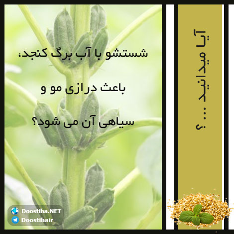 دانستنی های آموزنده از گیاهان دارویی و درمانی (سری 3) دانستنی های گیاهان دارویی, خواص داروهای گیاهی, آیا میدانید, طب سنتی, درمان گیاهی, فواید میوه ها, خواص درمانی حبوبات, گیاه درمانی, میوه درمانی, درمان های طبیعی