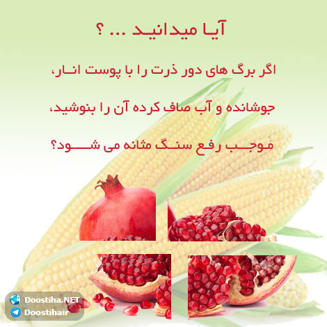 دانستنی های آموزنده از گیاهان دارویی و درمانی (سری 3) دانستنی های گیاهان دارویی, خواص داروهای گیاهی, آیا میدانید, طب سنتی, درمان گیاهی, فواید میوه ها, خواص درمانی حبوبات, گیاه درمانی, میوه درمانی, درمان های طبیعی