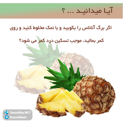 دانستنی های گیاهان دارویی, خواص داروهای گیاهی, آیا میدانید, طب سنتی, درمان گیاهی, فواید میوه ها, خواص درمانی حبوبات, گیاه درمانی, میوه درمانی, درمان های طبیعی