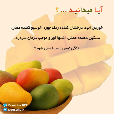 دانستنی های آموزنده از گیاهان دارویی و درمانی (سری 4) دانستنی های گیاهان دارویی, خواص داروهای گیاهی, آیا میدانید, طب سنتی, درمان گیاهی, فواید میوه ها, خواص درمانی حبوبات, گیاه درمانی, میوه درمانی, درمان های طبیعی