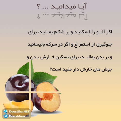 دانستنی های آموزنده از گیاهان دارویی و درمانی (سری 4) دانستنی های گیاهان دارویی, خواص داروهای گیاهی, آیا میدانید, طب سنتی, درمان گیاهی, فواید میوه ها, خواص درمانی حبوبات, گیاه درمانی, میوه درمانی, درمان های طبیعی