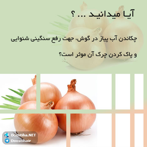 دانستنی های آموزنده از گیاهان دارویی و درمانی (سری 4) دانستنی های گیاهان دارویی, خواص داروهای گیاهی, آیا میدانید, طب سنتی, درمان گیاهی, فواید میوه ها, خواص درمانی حبوبات, گیاه درمانی, میوه درمانی, درمان های طبیعی