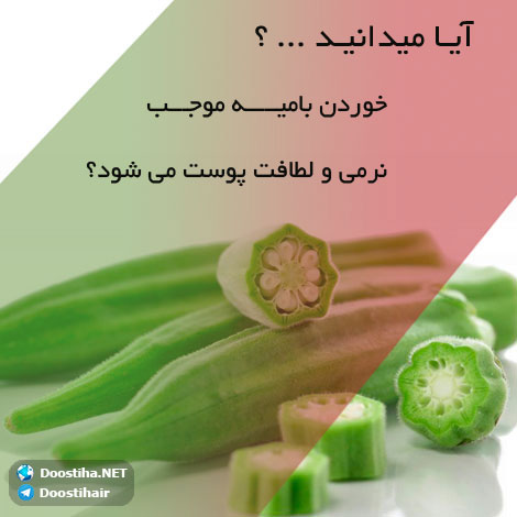 دانستنی های آموزنده از گیاهان دارویی و درمانی (سری 4) دانستنی های گیاهان دارویی, خواص داروهای گیاهی, آیا میدانید, طب سنتی, درمان گیاهی, فواید میوه ها, خواص درمانی حبوبات, گیاه درمانی, میوه درمانی, درمان های طبیعی
