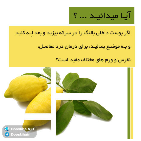 دانستنی های آموزنده از گیاهان دارویی و درمانی (سری 4) دانستنی های گیاهان دارویی, خواص داروهای گیاهی, آیا میدانید, طب سنتی, درمان گیاهی, فواید میوه ها, خواص درمانی حبوبات, گیاه درمانی, میوه درمانی, درمان های طبیعی