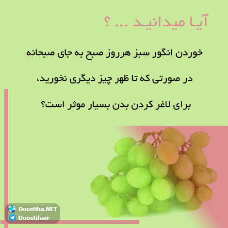 دانستنی های آموزنده از گیاهان دارویی و درمانی (سری 4) دانستنی های گیاهان دارویی, خواص داروهای گیاهی, آیا میدانید, طب سنتی, درمان گیاهی, فواید میوه ها, خواص درمانی حبوبات, گیاه درمانی, میوه درمانی, درمان های طبیعی