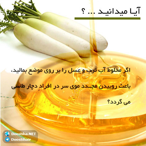 دانستنی های گیاهان دارویی, خواص داروهای گیاهی, آیا میدانید, طب سنتی, درمان گیاهی, فواید میوه ها, خواص درمانی حبوبات, گیاه درمانی, میوه درمانی, درمان های طبیعی
