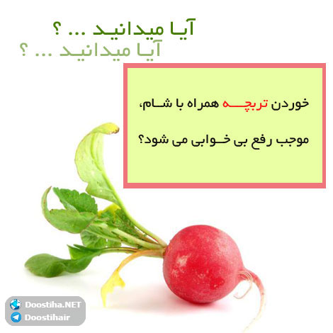 دانستنی های آموزنده از گیاهان دارویی و درمانی (سری 5) دانستنی های گیاهان دارویی, خواص داروهای گیاهی, آیا میدانید, طب سنتی, درمان گیاهی, فواید میوه ها, خواص درمانی حبوبات, گیاه درمانی, میوه درمانی, درمان های طبیعی