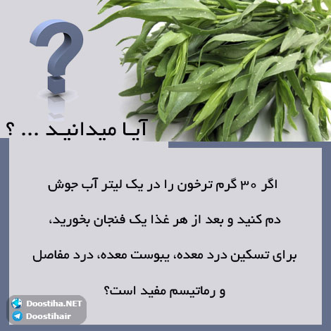 دانستنی های آموزنده از گیاهان دارویی و درمانی (سری 5) دانستنی های گیاهان دارویی, خواص داروهای گیاهی, آیا میدانید, طب سنتی, درمان گیاهی, فواید میوه ها, خواص درمانی حبوبات, گیاه درمانی, میوه درمانی, درمان های طبیعی