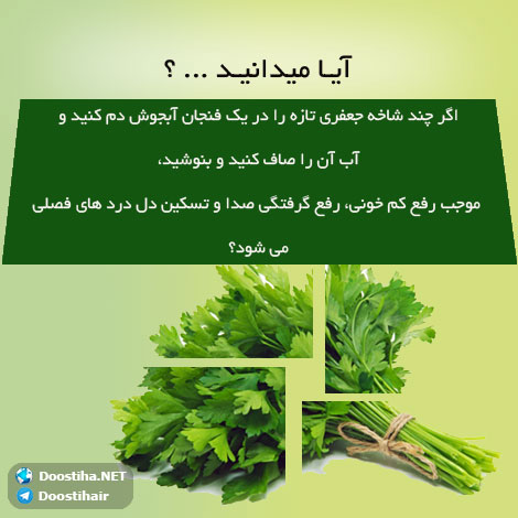دانستنی های آموزنده از گیاهان دارویی و درمانی (سری 5) دانستنی های گیاهان دارویی, خواص داروهای گیاهی, آیا میدانید, طب سنتی, درمان گیاهی, فواید میوه ها, خواص درمانی حبوبات, گیاه درمانی, میوه درمانی, درمان های طبیعی