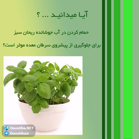 دانستنی های آموزنده از گیاهان دارویی و درمانی (سری 5) دانستنی های گیاهان دارویی, خواص داروهای گیاهی, آیا میدانید, طب سنتی, درمان گیاهی, فواید میوه ها, خواص درمانی حبوبات, گیاه درمانی, میوه درمانی, درمان های طبیعی