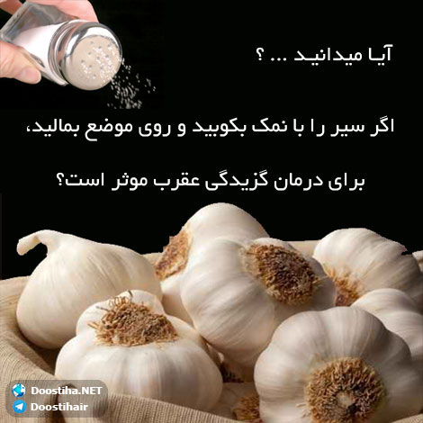دانستنی های آموزنده از گیاهان دارویی و درمانی (سری 5) دانستنی های گیاهان دارویی, خواص داروهای گیاهی, آیا میدانید, طب سنتی, درمان گیاهی, فواید میوه ها, خواص درمانی حبوبات, گیاه درمانی, میوه درمانی, درمان های طبیعی