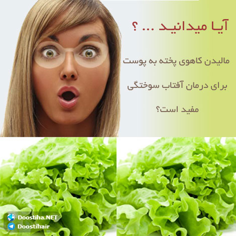 دانستنی های آموزنده از گیاهان دارویی و درمانی (سری 5) دانستنی های گیاهان دارویی, خواص داروهای گیاهی, آیا میدانید, طب سنتی, درمان گیاهی, فواید میوه ها, خواص درمانی حبوبات, گیاه درمانی, میوه درمانی, درمان های طبیعی