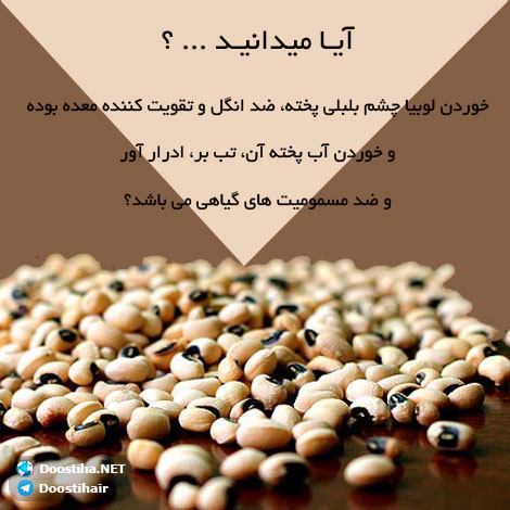 دانستنی های آموزنده از گیاهان دارویی و درمانی (سری 6) دانستنی های گیاهان دارویی, خواص داروهای گیاهی, آیا میدانید, طب سنتی, درمان گیاهی, فواید میوه ها, خواص درمانی حبوبات, گیاه درمانی, میوه درمانی, درمان های طبیعی