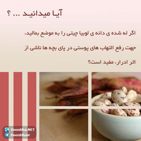 دانستنی های آموزنده از گیاهان دارویی و درمانی (سری 6) دانستنی های گیاهان دارویی, خواص داروهای گیاهی, آیا میدانید, طب سنتی, درمان گیاهی, فواید میوه ها, خواص درمانی حبوبات, گیاه درمانی, میوه درمانی, درمان های طبیعی