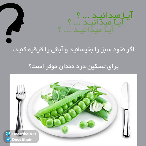 دانستنی های آموزنده از گیاهان دارویی و درمانی (سری 6) دانستنی های گیاهان دارویی, خواص داروهای گیاهی, آیا میدانید, طب سنتی, درمان گیاهی, فواید میوه ها, خواص درمانی حبوبات, گیاه درمانی, میوه درمانی, درمان های طبیعی