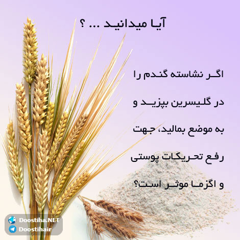 دانستنی های آموزنده از گیاهان دارویی و درمانی (سری 6) دانستنی های گیاهان دارویی, خواص داروهای گیاهی, آیا میدانید, طب سنتی, درمان گیاهی, فواید میوه ها, خواص درمانی حبوبات, گیاه درمانی, میوه درمانی, درمان های طبیعی