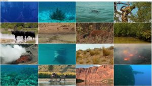 دانلود مستند Our Earth Our Oceans 2016 دانلود مستند Our Earth Our Oceans 2016