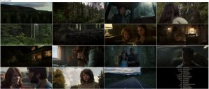 دانلود دوبله فارسی فیلم اژدهای پیت Pete's Dragon 2016 دانلود فیلم اژدهای پیت Pete's Dragon 2016